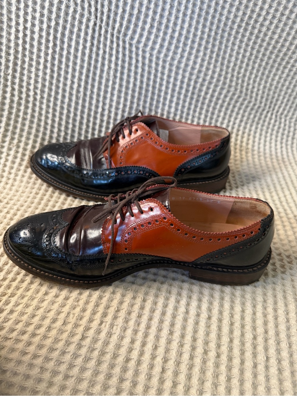 Robert Clergerie Roel Tricolor Spectator Wingtip Oxford Shoes Women’s 9.5 HTF